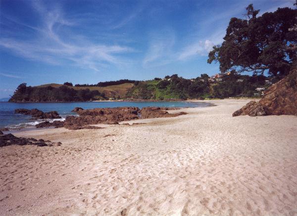 Supacute Character Cottage, Wifi, Sky Tv, Spa Bath, Spa Bath, Dble Kayak And Possibly A Car! Palm Beach Exterior photo