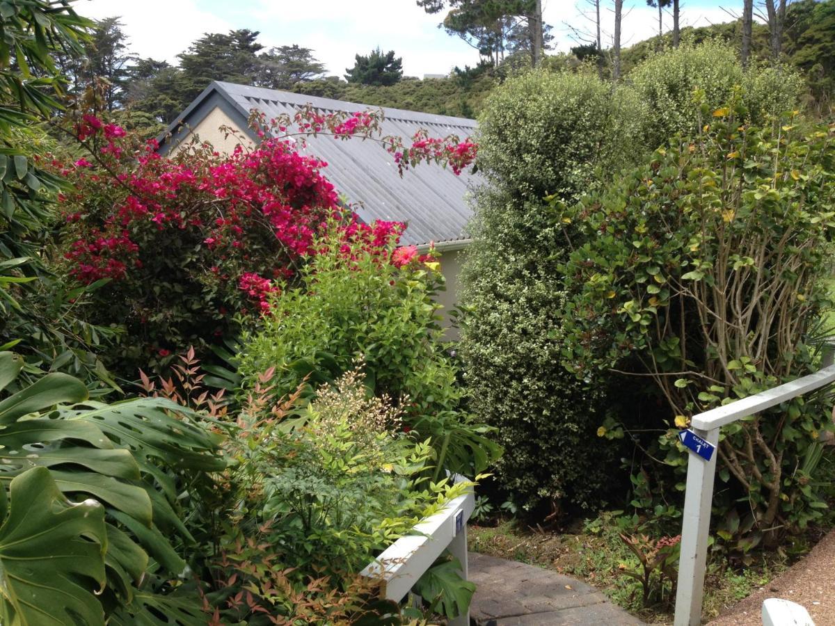Supacute Character Cottage, Wifi, Sky Tv, Spa Bath, Spa Bath, Dble Kayak And Possibly A Car! Palm Beach Exterior photo