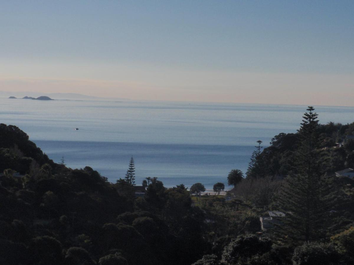 Supacute Character Cottage, Wifi, Sky Tv, Spa Bath, Spa Bath, Dble Kayak And Possibly A Car! Palm Beach Exterior photo